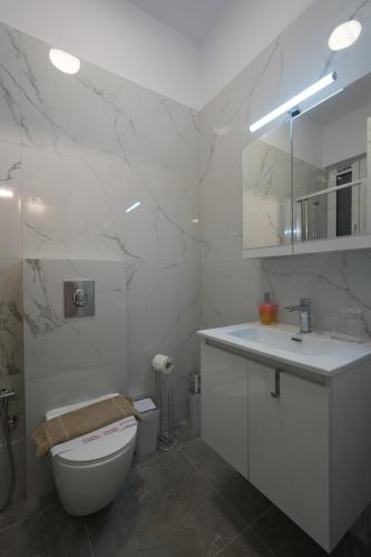 Central 1 BDRM apartment, in Pangrati