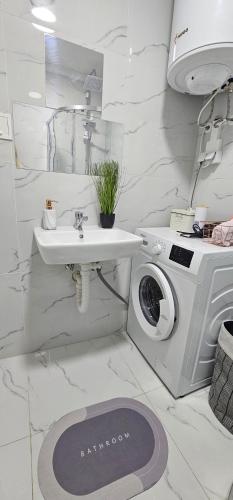 un bagno bianco con lavatrice e lavandino di Property Sim-Vlae a Skopje