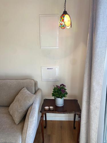 a living room with a couch and a table with a potted plant at Matar baYaar מטר ביער in El-Rom