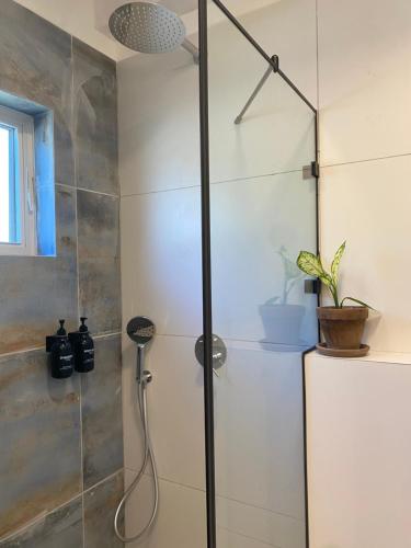 a shower with a glass door in a bathroom at Matar baYaar מטר ביער in El-Rom