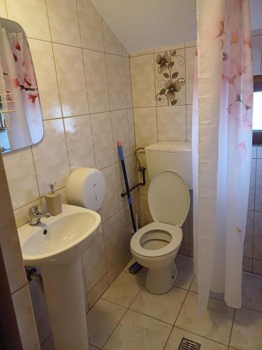 a bathroom with a toilet and a sink at Casa Gherman in Turda