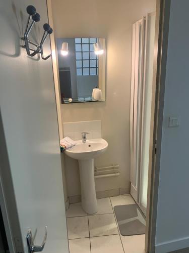 une salle de bain avec un lavabo et un miroir dans l'établissement T2 Bourg de Vertou Appartement, à Vertou