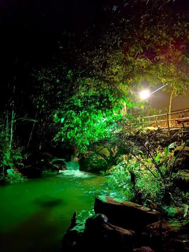 a green river at night with a street light at Triloka by The Offbeat Crew in Munnar