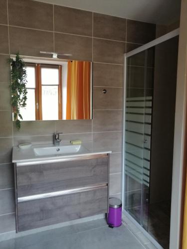 une salle de bain avec un lavabo, un miroir et une douche dans l'établissement Etang et moulin, à La Celle-sous-Gouzon