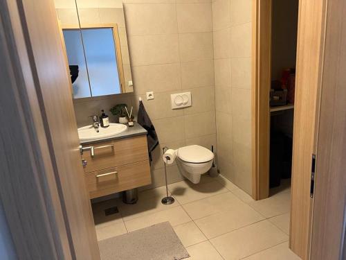 a bathroom with a toilet and a sink and a mirror at Austurkór in Garðakauptún