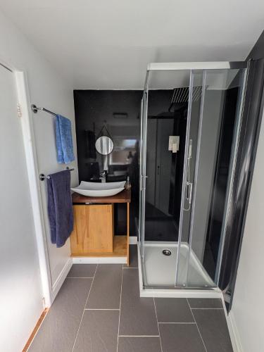 a bathroom with a shower and a sink at Garden studio near sea in Torquay