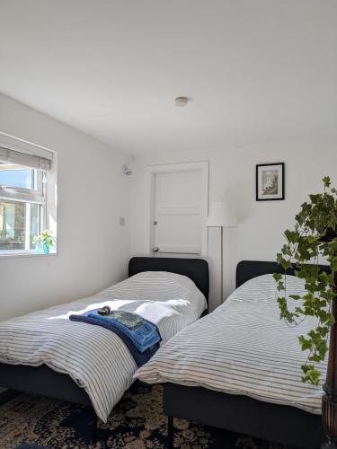 two beds sitting next to each other in a room at Garden studio near sea in Torquay