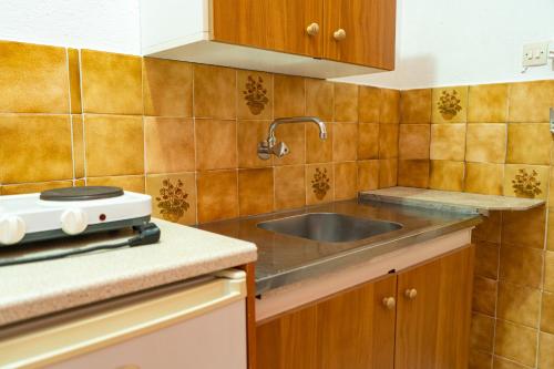 a kitchen with a sink and a stove at HOTEL PAVLOS in Paralia Katerinis