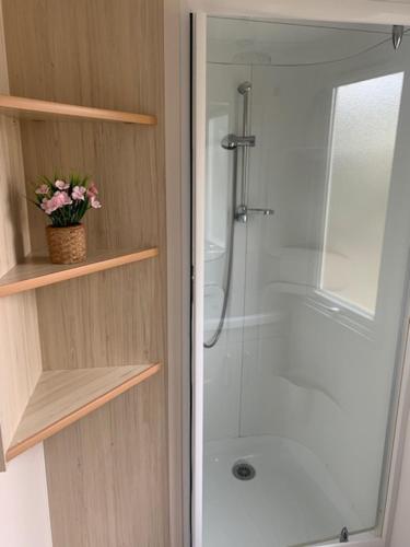 une salle de bain avec une douche et un pot de fleurs sur une étagère dans l'établissement mobil home la palmeraie, à Torreilles