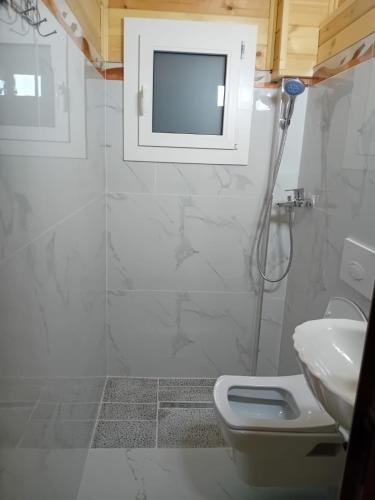 a bathroom with a toilet and a sink and a shower at Bujtina Korça in Buçimas