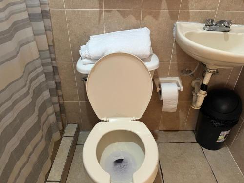 a bathroom with a toilet and a sink at Birdhouse in Guanajuato
