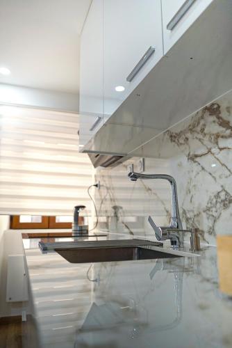 une cuisine avec un évier et un plan de travail dans l'établissement Coeur d'Albertville - Hyper Centre- Gare à 800 m, à Albertville