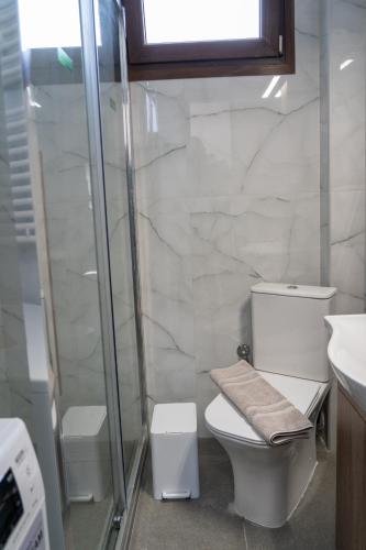 a bathroom with a toilet and a glass shower at Villa Anastasia 1 in Fourka