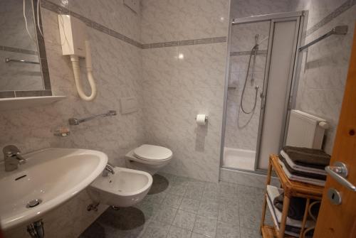 a bathroom with a sink and a toilet and a shower at Im Kranzhof in San Candido