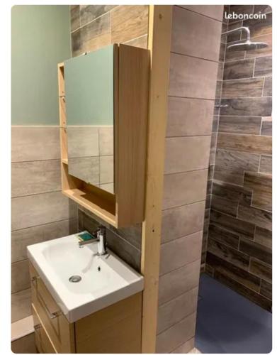 une salle de bain avec un lavabo, un miroir et une douche dans l'établissement Studio au centre de Cauterets, à Cauterets