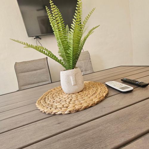 a potted plant sitting on top of a table at Casa Marina, Playa y Aeropuerto cerca in Puerto Vallarta
