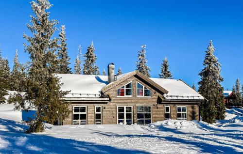 a house is covered in snow with trees at Stunning Home In Sjusjøen With Sauna in Sjusjøen