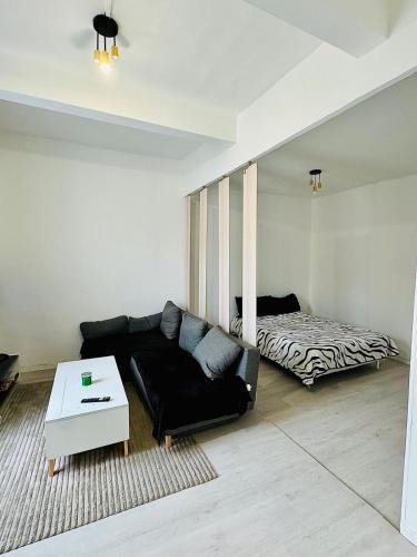 un salon avec un canapé et un lit dans l'établissement Charmant T2 tout confort centre ville BEZIERS, à Béziers