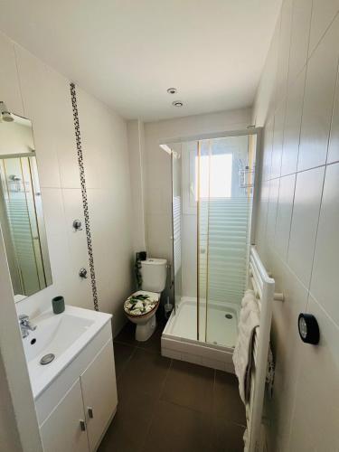 une salle de bain avec une douche, des toilettes et un lavabo dans l'établissement Le Chic Azuréen, à Villeneuve-Loubet