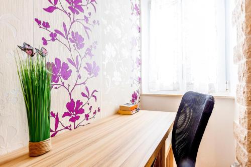 Apartment Center with jacuzzi