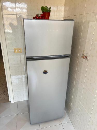 a white refrigerator with a plant on top of it at Dolce Sicily a 1km dal centro in Palermo
