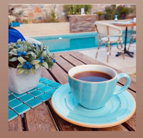 a cup of coffee on a table next to a potted plant at Livia Garden Hotel in Selcuk