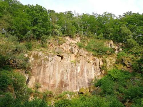 a rocky hillside with trees on top of it at Wildkamp Resort Zelten in der freien Natur ( Wiese Wald ) in Rimbach