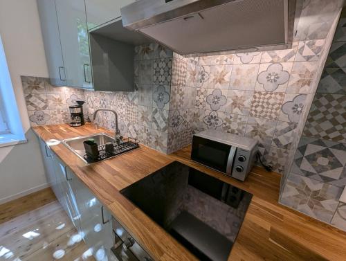 une cuisine avec un évier et un micro-ondes dans l'établissement Sara, à Sainte-Marie-aux-Mines