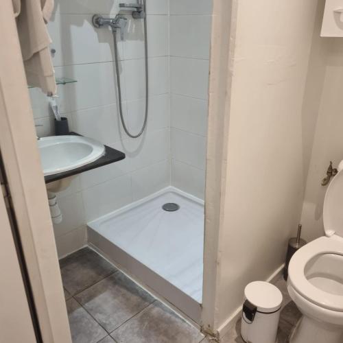 une salle de bain avec une douche, des toilettes et un lavabo dans l'établissement agréables studios avec terrasse sur jardin, à Caussade