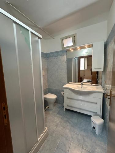a bathroom with a shower and a sink and a toilet at Affaccio sul Mare Attico in Tropea