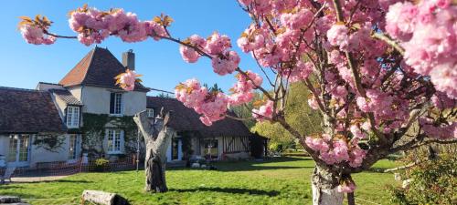 Country house for animals and nature lovers
