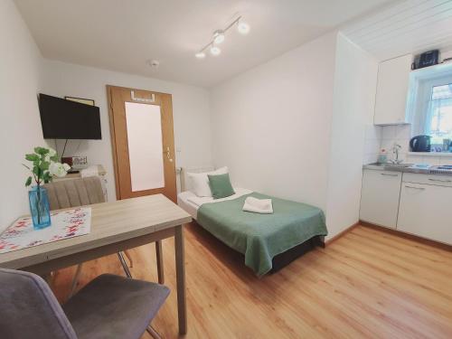 a small living room with a bed and a kitchen at Neu! Spreelounge Apartments! Ihre Auszeit im Herzen des Spreewalds in Lübben