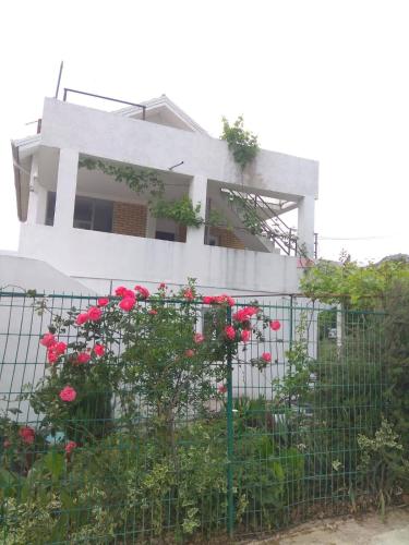 a white house with red roses on a fence at Apartments M1 Pine tree in Sutomore