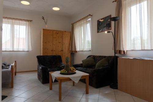 Un televizor și/sau centru de divertisment la City Apartman Siófok