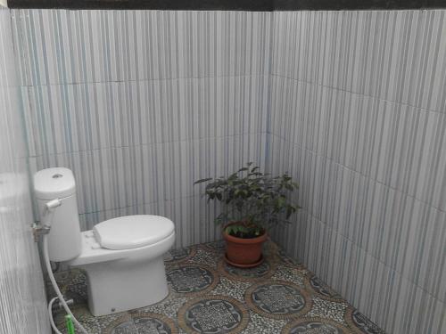 a bathroom with a toilet and a potted plant at Aladdin Homestay in Gili Islands