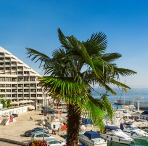 OPATIJA APARTMAN iN THE CENTAR VILLA ESPERIA
