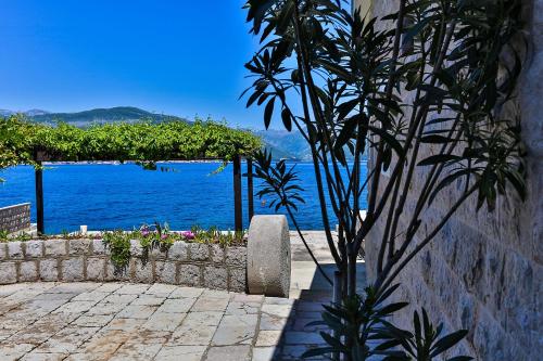 a tree in front of a stone wall with a view of the water at Casa Brilla in Tivat