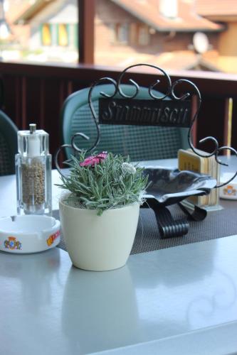 a plant in a white bowl on a table at Landgasthof Grossteil in Giswil