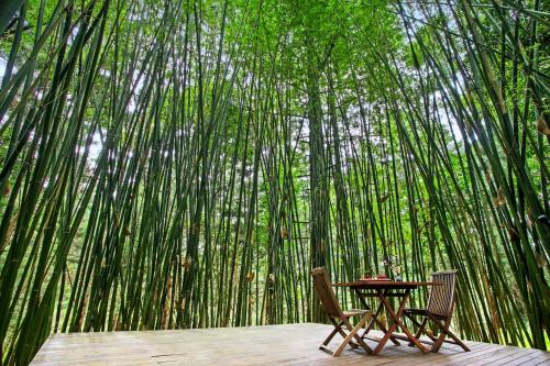 a table and two chairs in front of a bamboo forest at Azabu Retreat & Spa in Byron Bay
