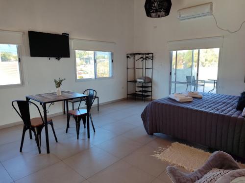 a bedroom with a table and a bed and a table and chairs at TERRAZA TERRAZA Merlo Apartments in Merlo