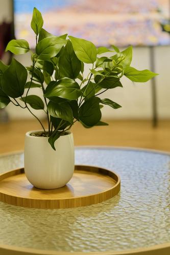a plant in a white vase on a table at Blue Horizon House with Private Pool. Pet Friendly in Nowra