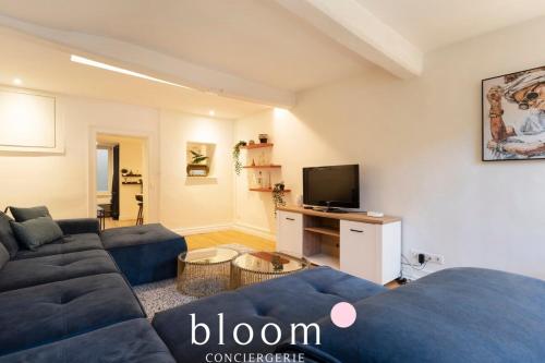 un salon avec un canapé bleu et une télévision dans l'établissement Le Prestige Place Carrière Appartement de Standing, à Nancy