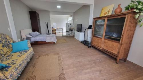 a living room with a couch and a tv at Studio Amplo e Próximo ao Centro de Eventos em Bento Gonçalves in Bento Gonçalves