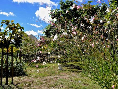 a garden with pink flowers and a fence at Le Paradis in Cazedarnes