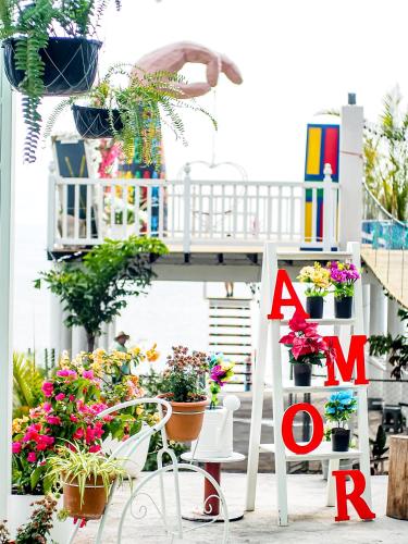 a woman standing on a balcony with potted plants at Alojamiento el Abuelo in San Pedro La Laguna