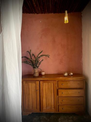 a wooden dresser with a potted plant on top of it at Aguadulce Private Ecolodge in San Rafael