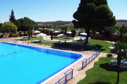 - une grande piscine dans un complexe avec des arbres et des parasols dans l'établissement Hotel Juleca, à Las Infantas