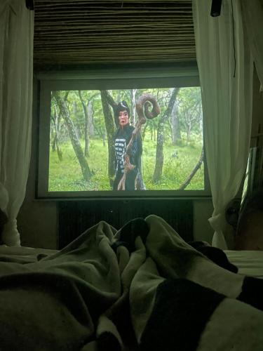 a man is looking out of a bedroom window at Aguadulce Private Ecolodge in San Rafael