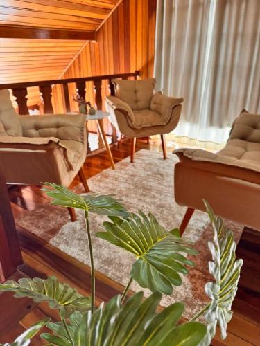 a living room with chairs and a table and a plant at Pousada Araucária Suítes in Campos do Jordão