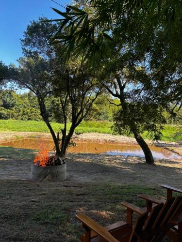 a fire pit with two trees in a field at Pousada Sunrise Container in Araçoiaba da Serra